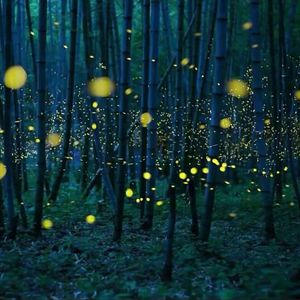 壮男GayTube野外XX果东传某
